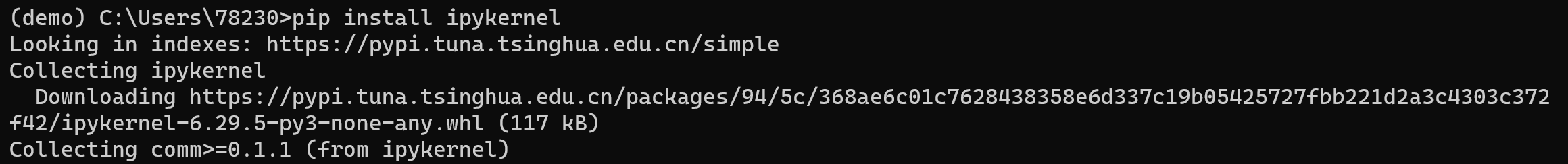 install ipykernel image